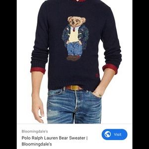 Polo bear sweater